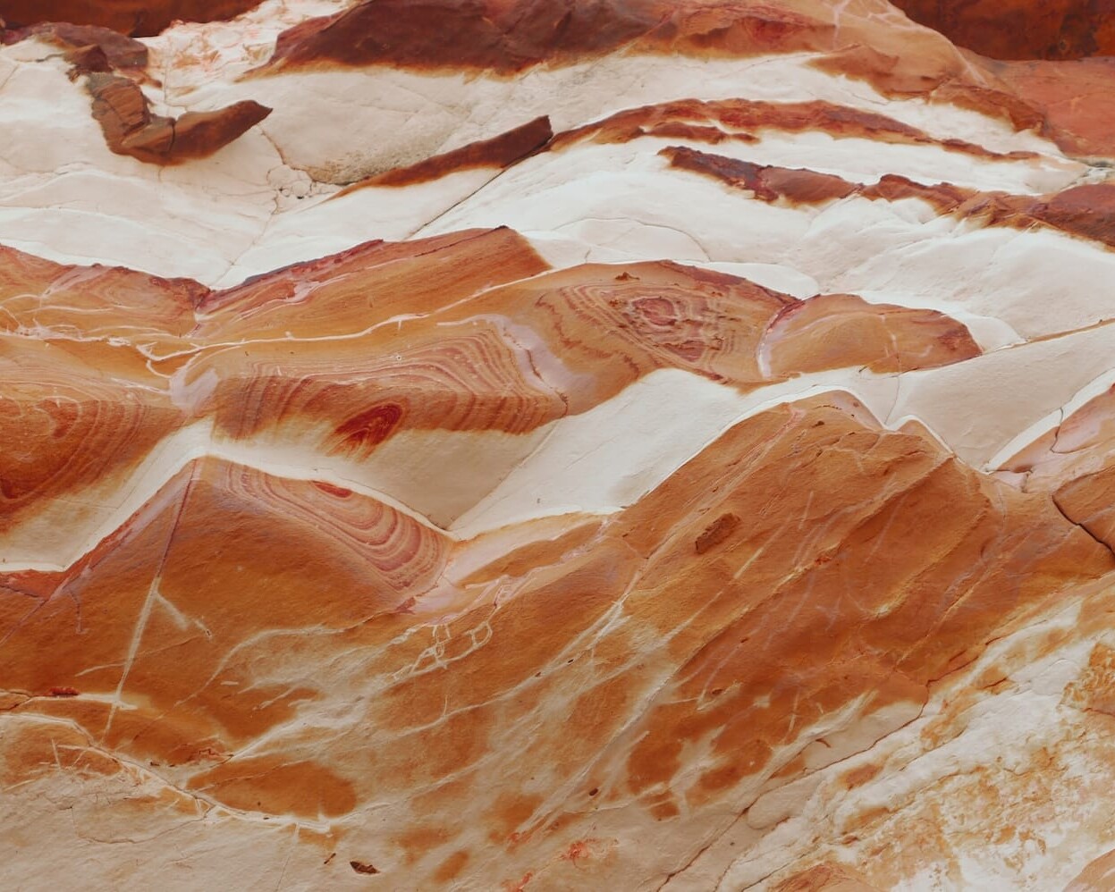 Orange Textured Rock