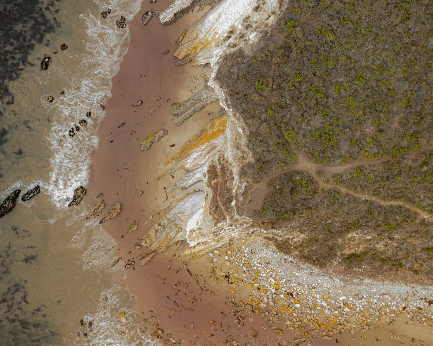 Aerial of Coast Line