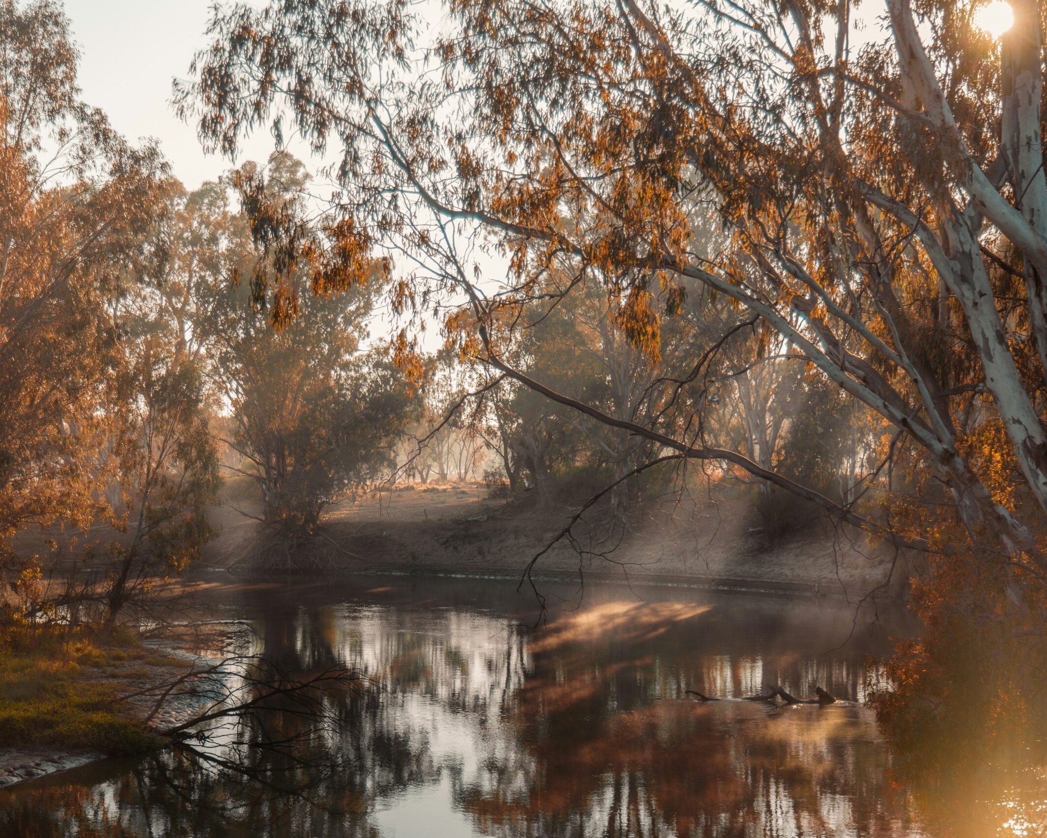 A river bank in Australia