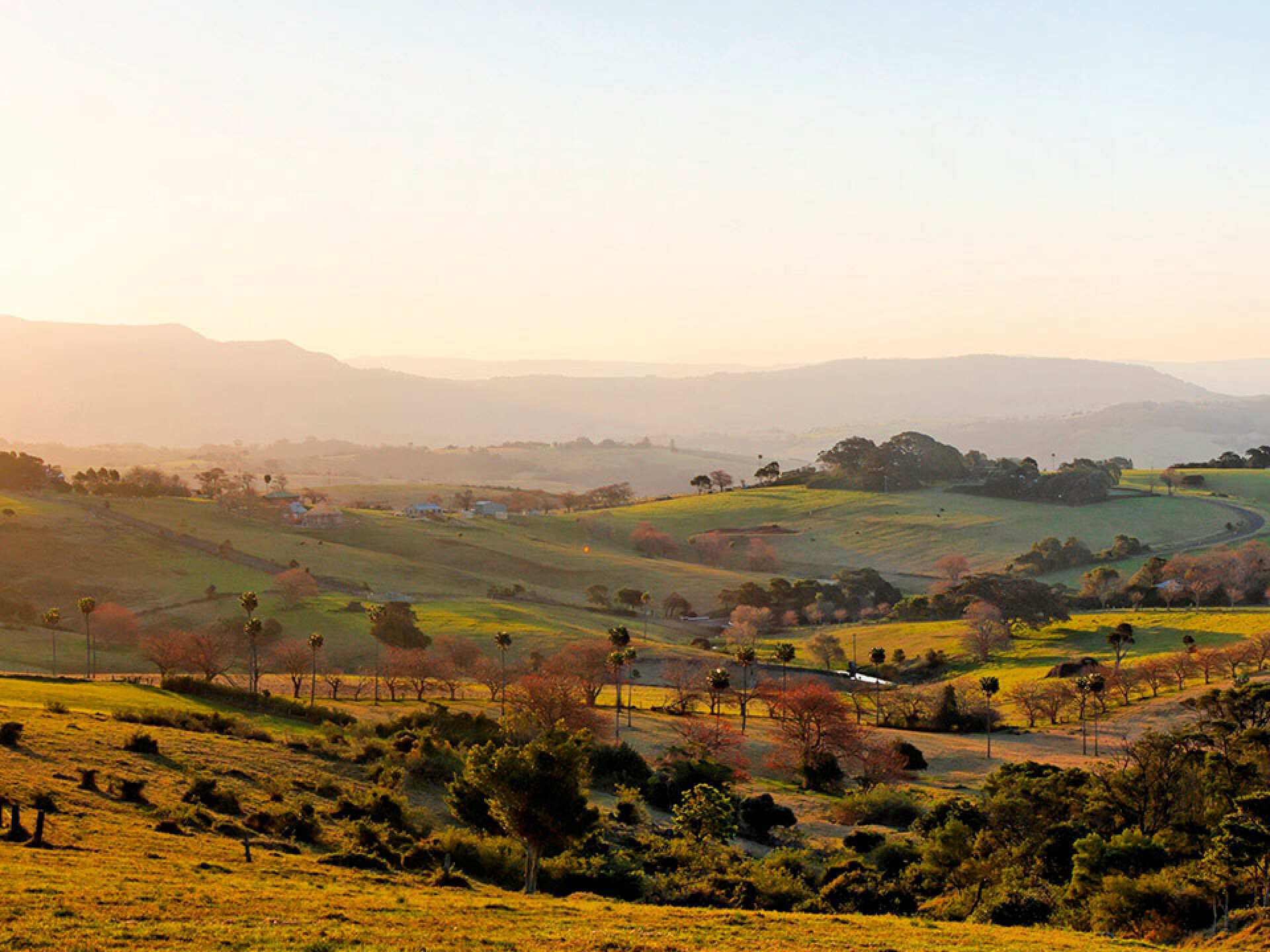 Proposed land for a future 245 residential lot subdivision with Munno Para Downs, SA