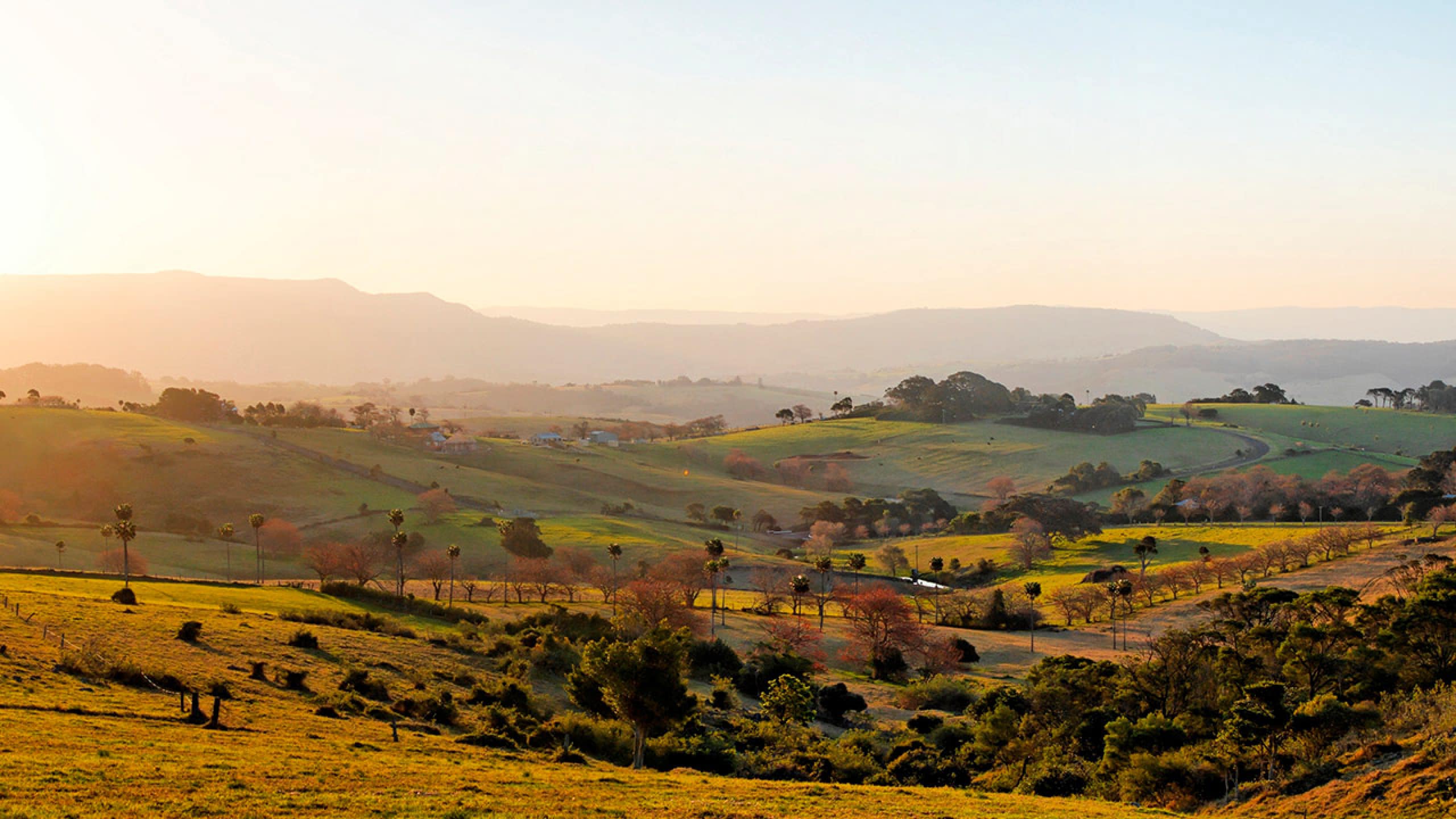 Proposed land for a future 245 residential lot subdivision with Munno Para Downs, SA
