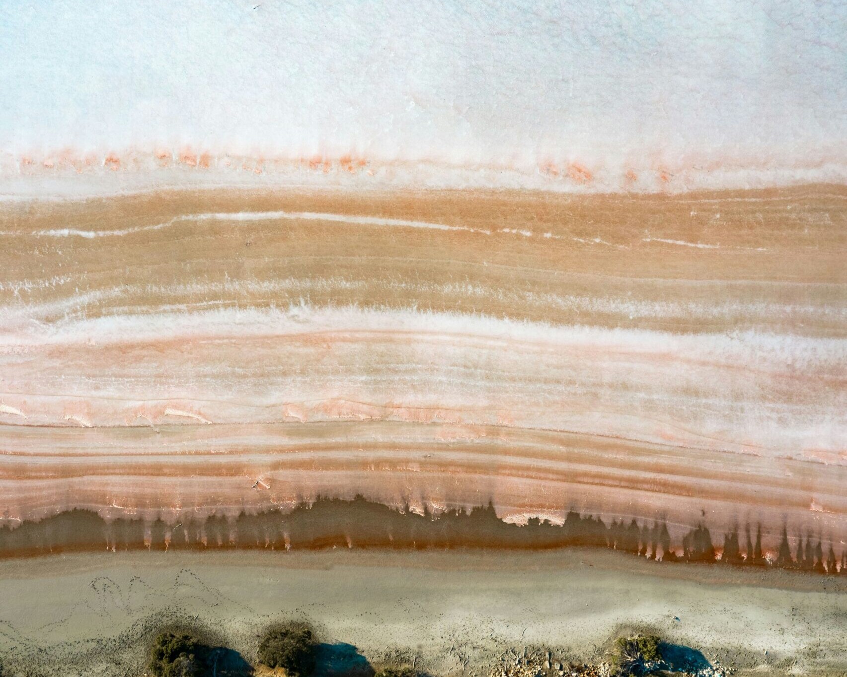 A Textured Rock Face
