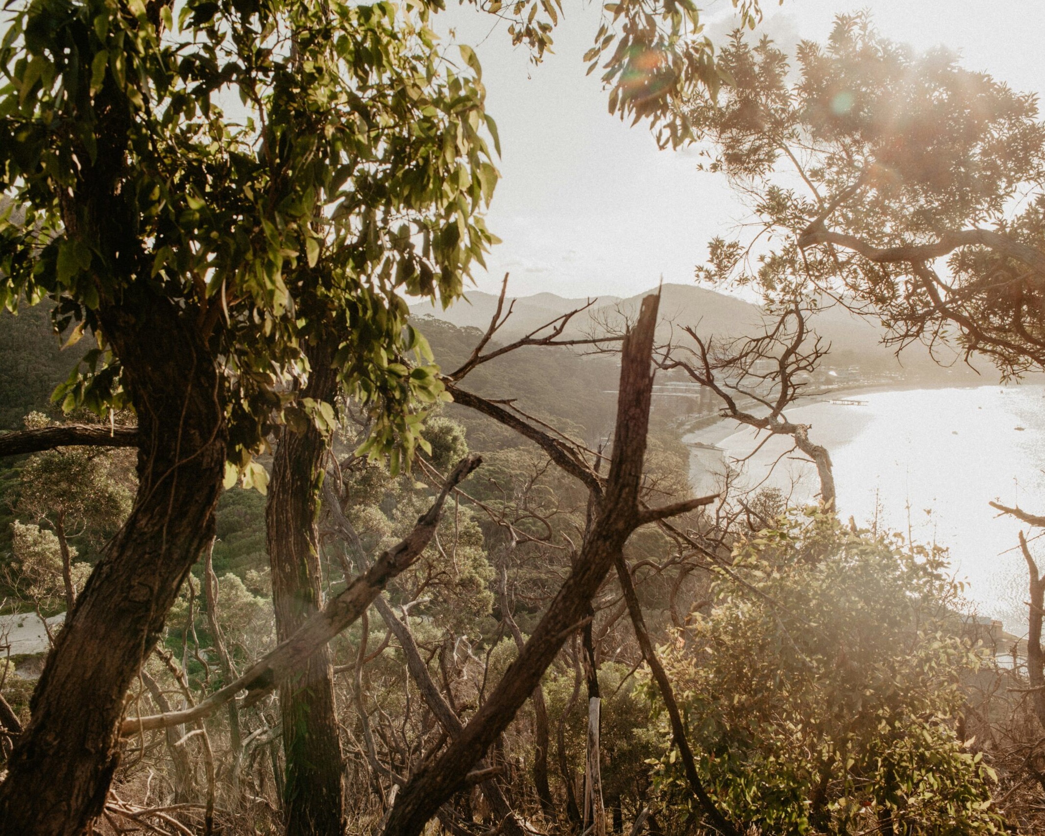Bushland overlooking a bay in Australia